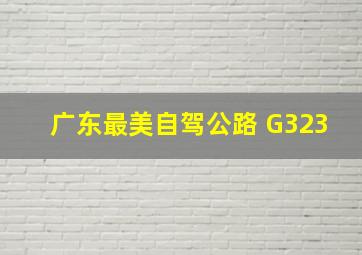 广东最美自驾公路 G323